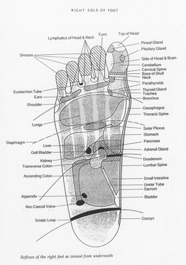 Reflexology right foot